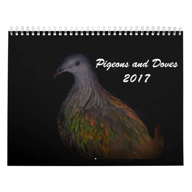 Calendario Palomas y palomas 2017 (Tapa)