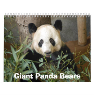 Calendario panda117, osos de panda gigante