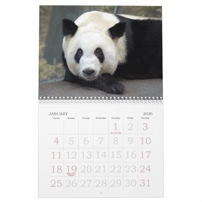 Calendario panda117, osos de panda gigante (Jan 2026)