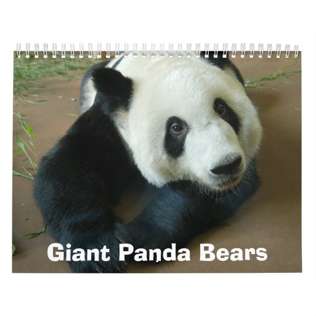 Calendario panda118, osos de panda gigante (Tapa)