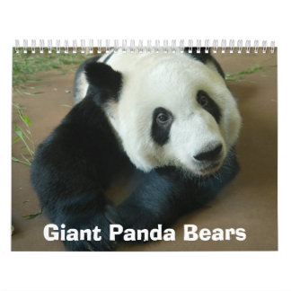 Calendario panda118, osos de panda gigante