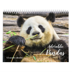 Calendario Pandas Adorables 2026