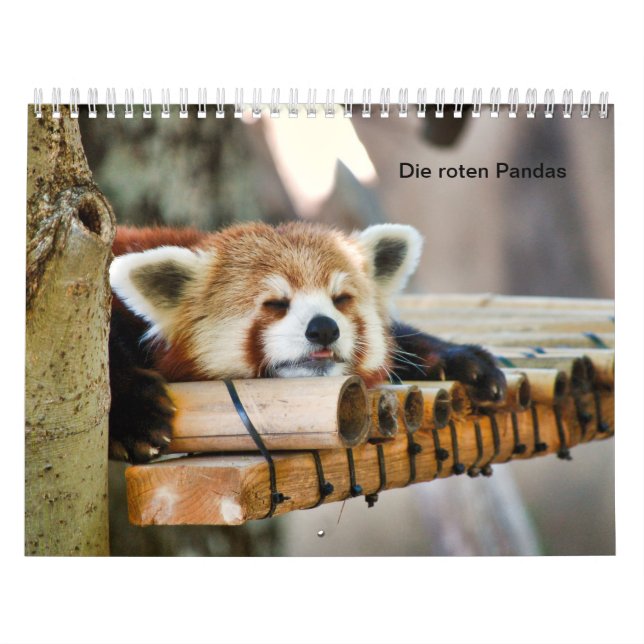Calendario Pandas rojas (Tapa)
