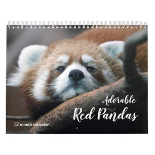 Calendario Pandas Rojos Adorables 2025