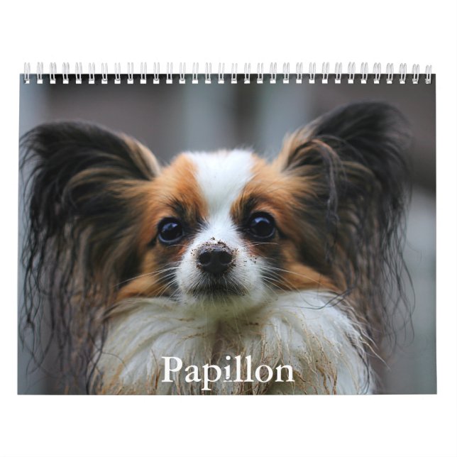 Calendario Papillon (Tapa)