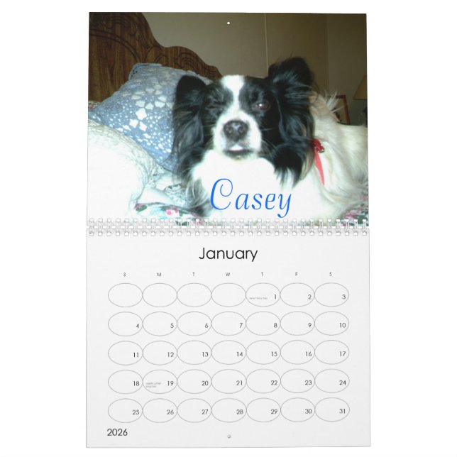 Calendario Papillons hermoso, 2007 (Jan 2026)