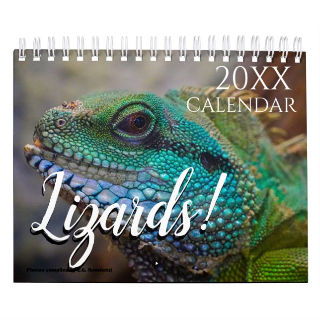 Calendario Pared de Naturaleza con Tema de Lagarto 2027 (Tapa)