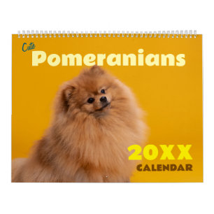 Calendario Pared de perros pomerania lindos