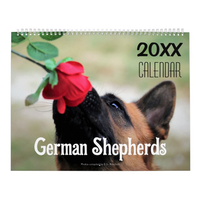 Calendario Pared del perro pastor alemán 2027  (Tapa)