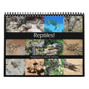 Calendario Pared Reptiles de J.W. Padre.