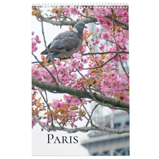 Calendario Paris Calendar (Tapa)