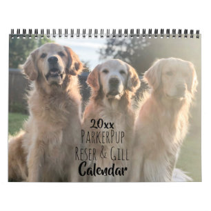 Calendario ParkerPup y Friends Golden Retriever 20