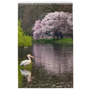 Calendario Parque de St James, Londres