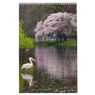Calendario Parque de St James, Londres