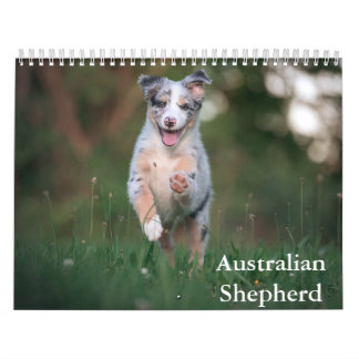 Calendario Pastor Australiano