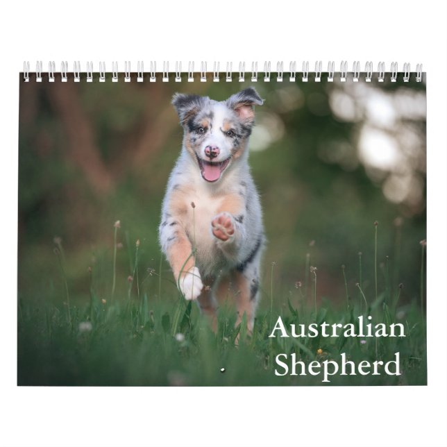 Calendario Pastor Australiano (Tapa)