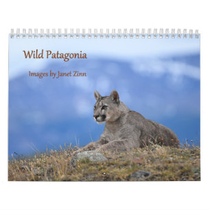 Calendario Patagonia Salvaje: Pumas y vida silvestre