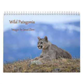 Calendario Patagonia Salvaje: Pumas y vida silvestre