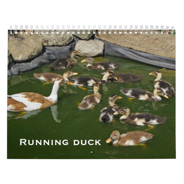 Calendario Pato corriente (Tapa)