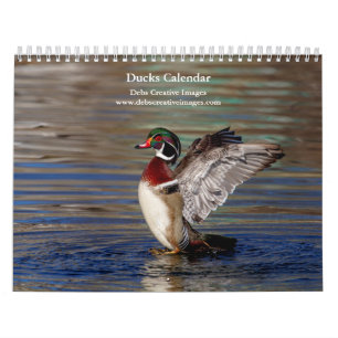 Calendario Patos 2026