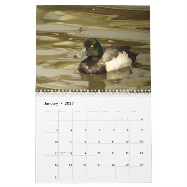 Calendario Patos de Norteamérica 2010 (Jan 2027)