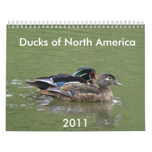 Calendario Patos de Norteamérica, 2011