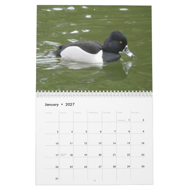 Calendario Patos de Norteamérica, 2011 (Jan 2027)