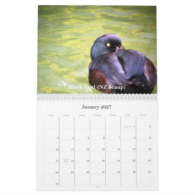 Calendario Patos de Nueva Zelanda (Jan 2027)