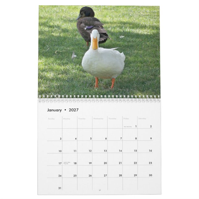 Calendario Patos salvajes (Jan 2027)