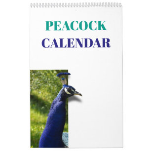 Calendario Pavo Real Colorido 2027