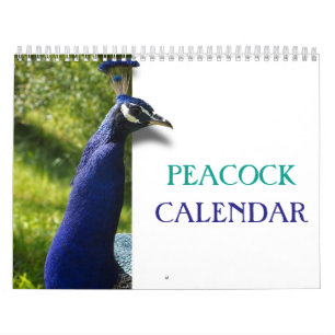 Calendario Pavo Real Hermoso 2027