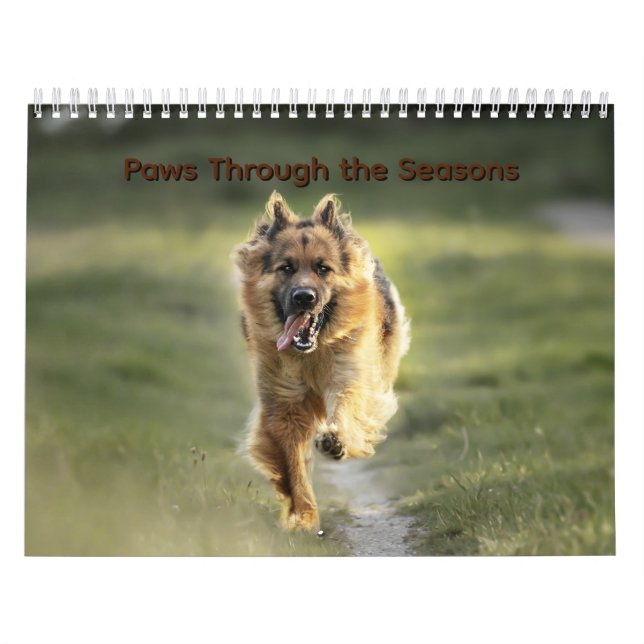 Calendario Paws Through the Seasons Calendar (Tapa)