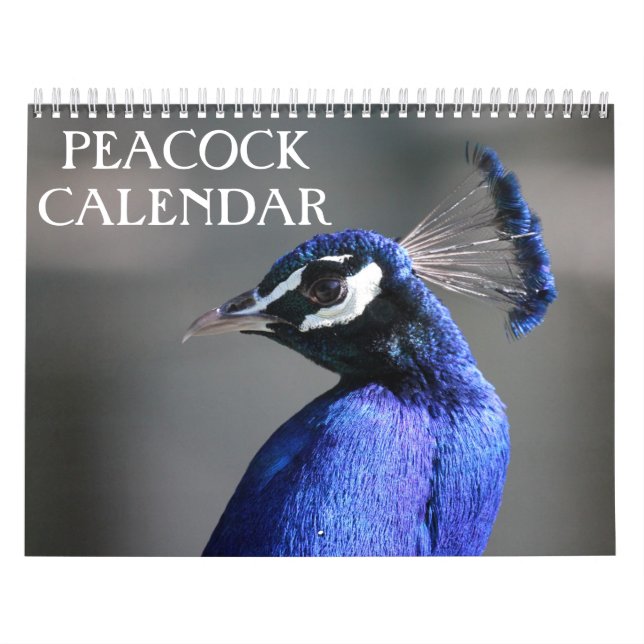 Calendario Peacock 2025 (Tapa)