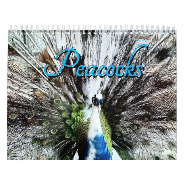 Calendario Peacock Calendar (Tapa)