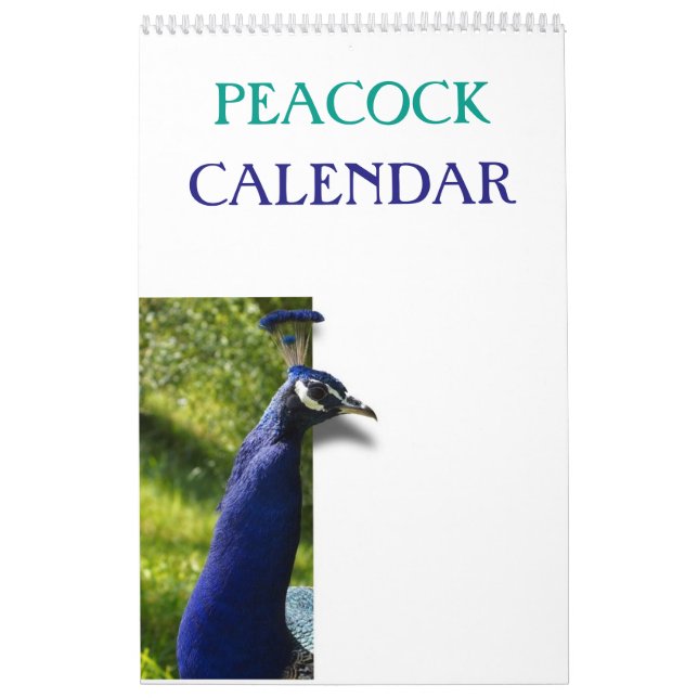 Calendario Peacock colorido 2025 (Tapa)