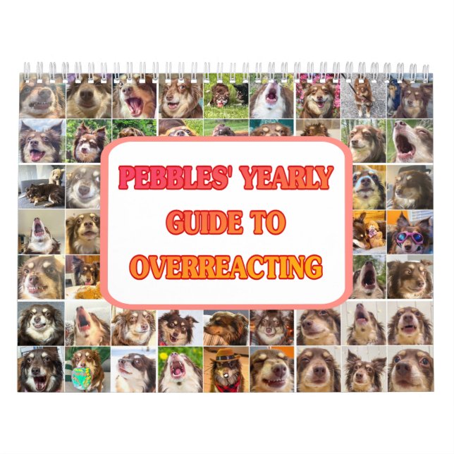 Calendario Pebbles' Calendar (Tapa)