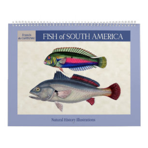 Calendario Peces de Sudamérica 2026