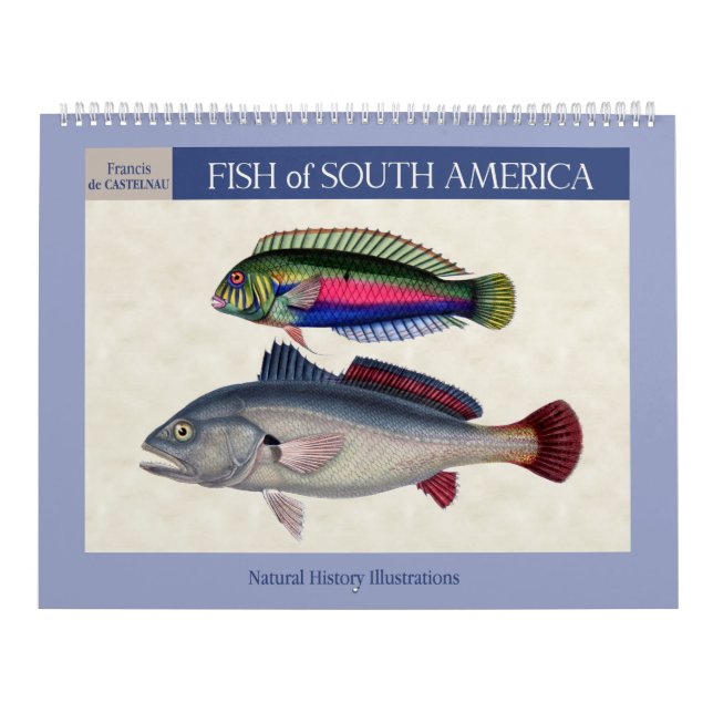 Calendario Peces de Sudamérica 2026 (Tapa)