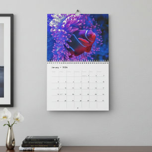 Calendario Peces Tropicales Coloridos 2026 Paraíso Subacuátic