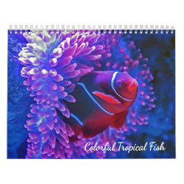 Calendario Peces Tropicales Coloridos 2026 Paraíso Subacuátic