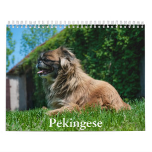 Calendario pekingés