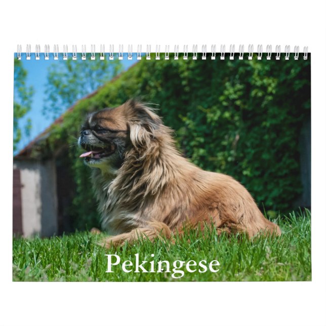 Calendario pekingés (Tapa)