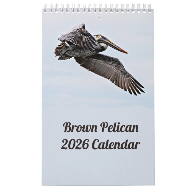 Calendario Pelicano Marrón 2025 (Tapa)