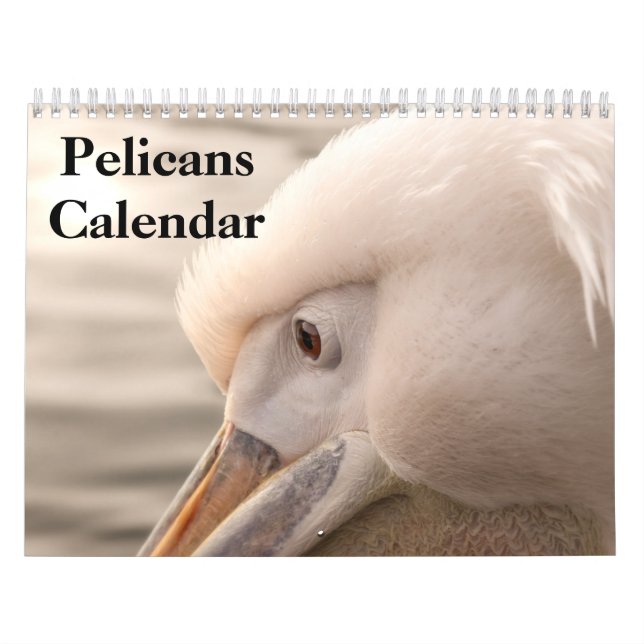 Calendario Pelicans Bird 2025 (Tapa)