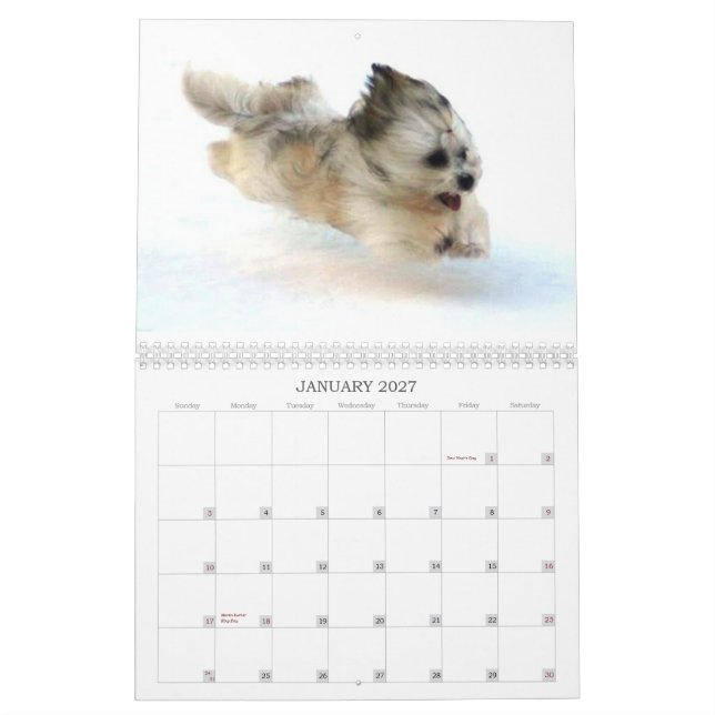 Calendario Peluito Havanese . 2011 (Jan 2027)