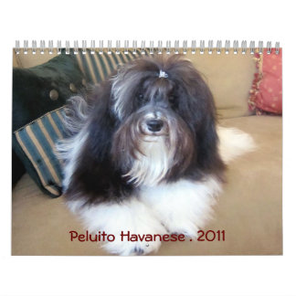 Calendario Peluito Havanese . 2011