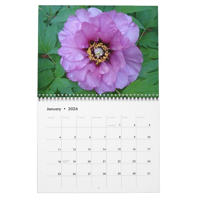 Calendario Peony 2010 (Jan 2026)