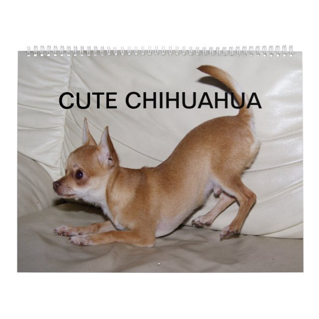 Calendario Pequeño Chihuahua dulce 2023 (Tapa)