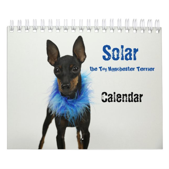 Calendario pequeño Manchester Terrier 2021 B (Tapa)
