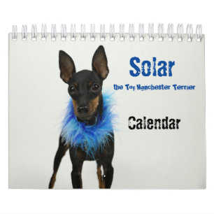 Calendario pequeño Manchester Terrier 2021 B